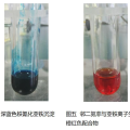 无机及分析化学实验