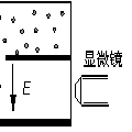普通物理学实验II