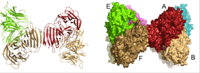 Featured image of post 生物化学实验（甲）