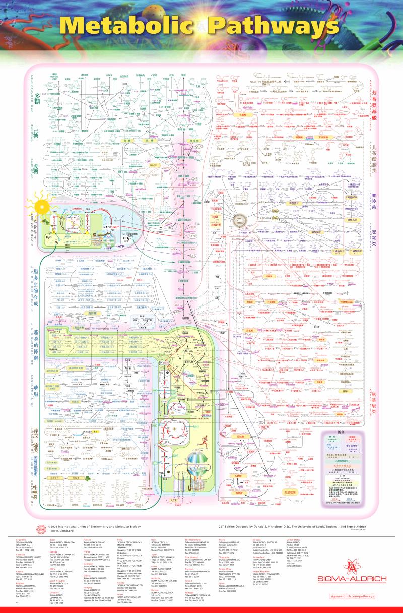 Featured image of post 生物化学（甲）